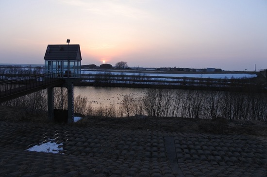 DSC_0503.JPG