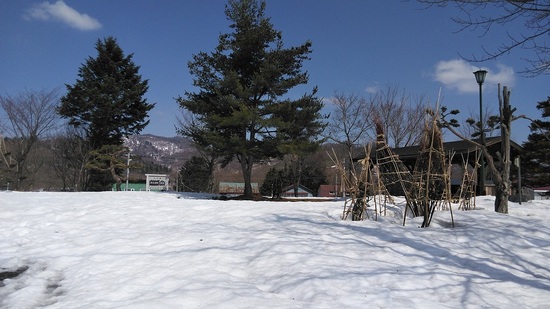 DSC_3311.jpg