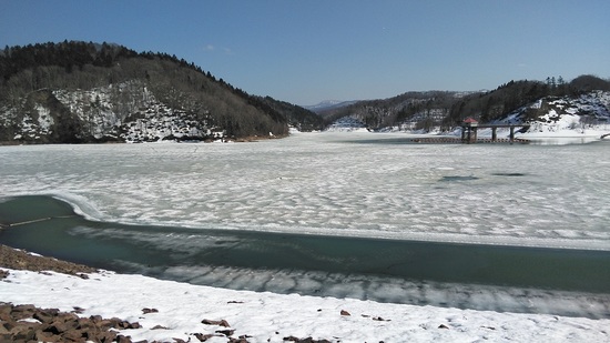 DSC_3331.jpg