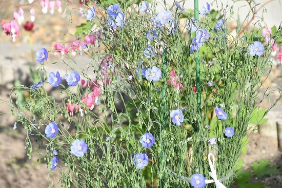 DSC_2002.JPG