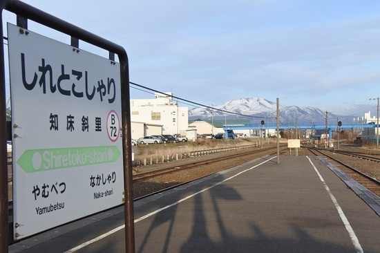 DSC_2010.JPG