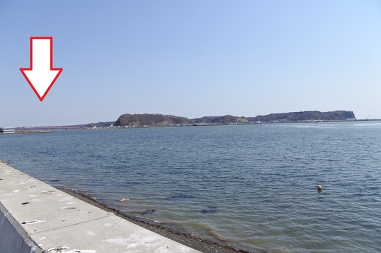 DSC_2022-5.JPG