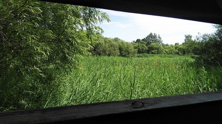 DSC_0017.JPG