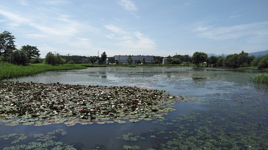 DSC_0041.JPG