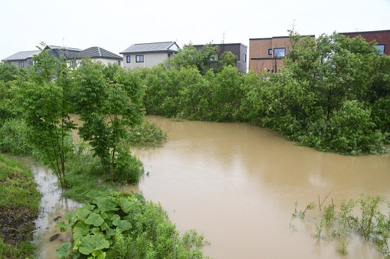 DSC_2003.JPG