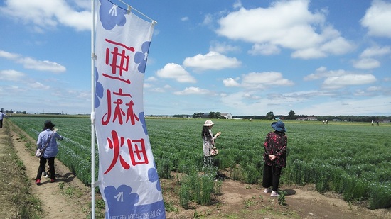 DSC_3022.jpg