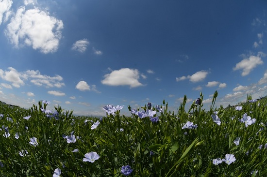 DSC_3031.JPG