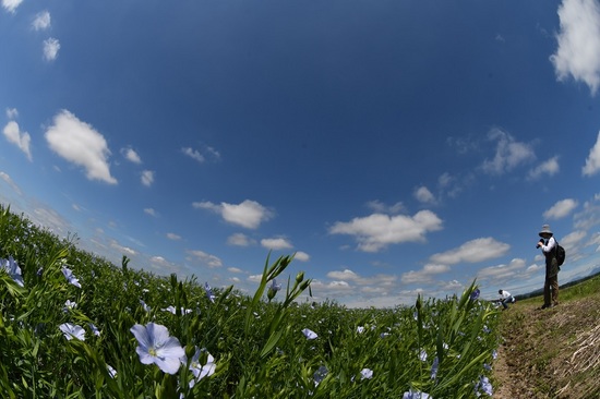 DSC_3033.JPG