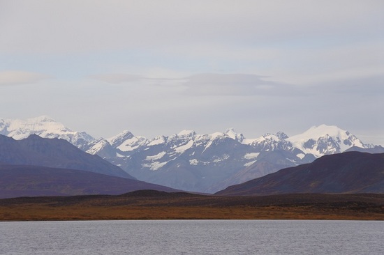 DSC_0833.JPG