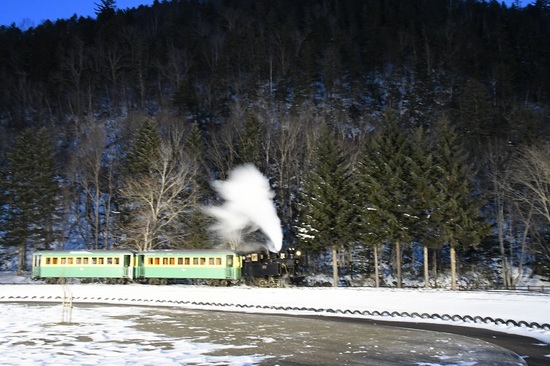 DSC_0508.JPG