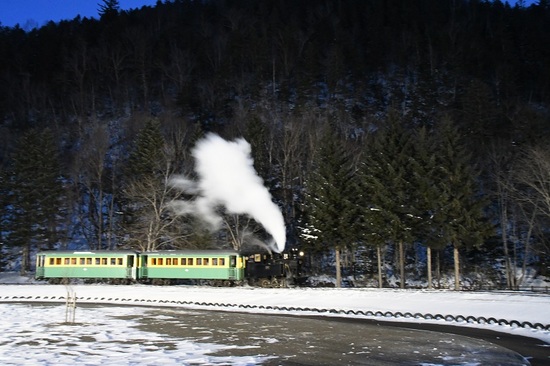 DSC_0509.JPG