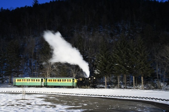 DSC_0510.JPG