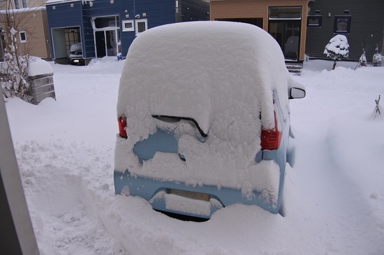 DSC_1445.JPG