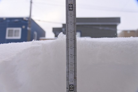 DSC_1451.JPG