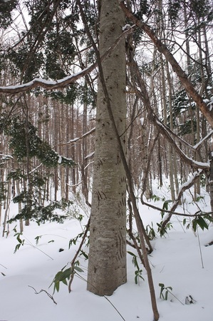 DSC_2017.JPG