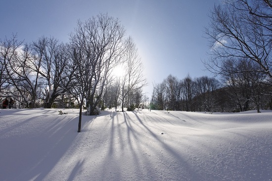 DSC_2031.JPG