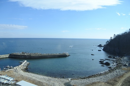 DSC_3597.JPG