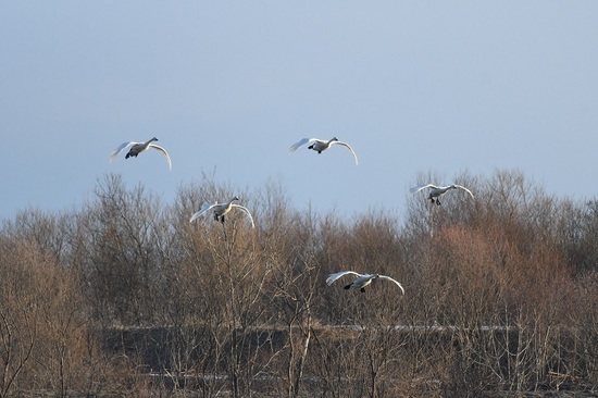 DSC_0368.JPG