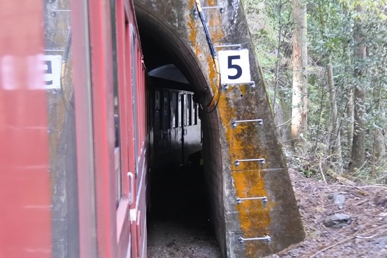 DSC_4553.JPG