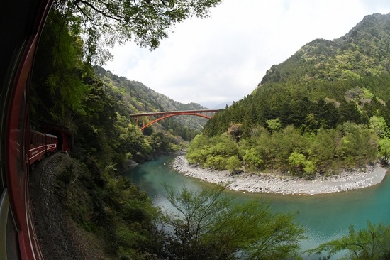 DSC_4558-2.JPG
