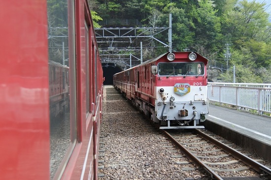 DSC_4595.JPG