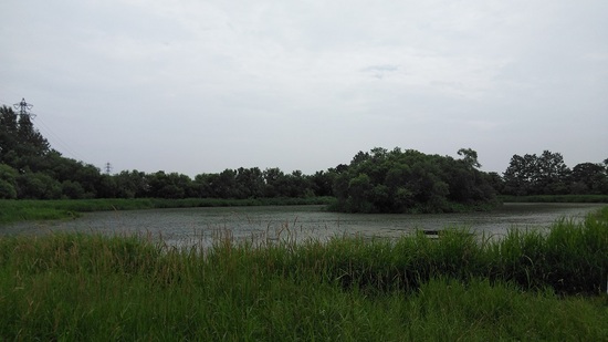 DSC_3031.JPG