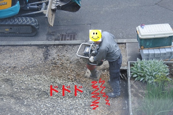 DSC_8222.JPG