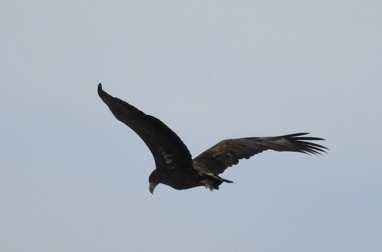 DSC_0073.JPG