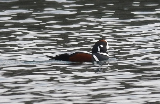 DSC_0076.JPG