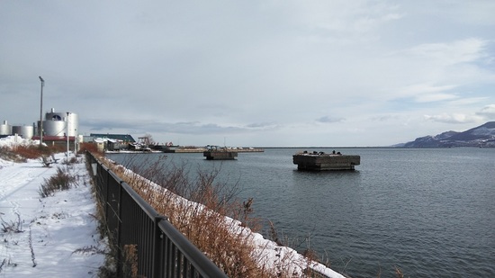 DSC_0090.JPG