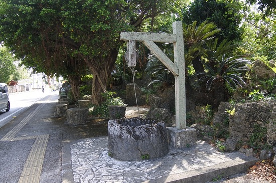 DSC_1875.JPG