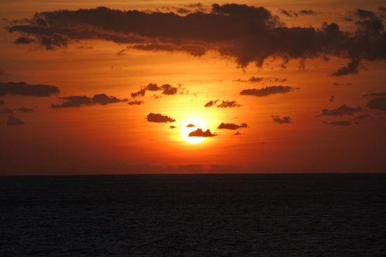 DSC_2431-2.JPG