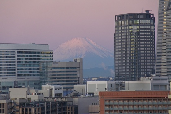 DSC_2807.JPG