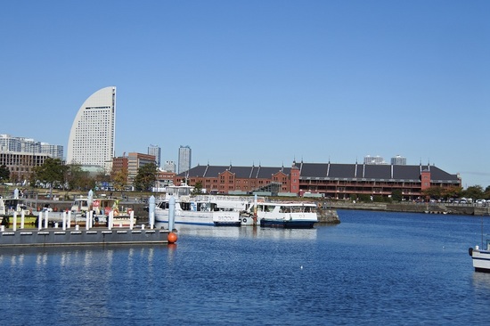 DSC_2872.JPG