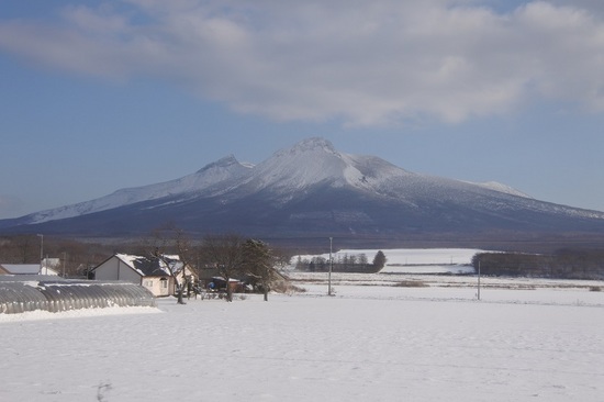 DSC_3501.JPG