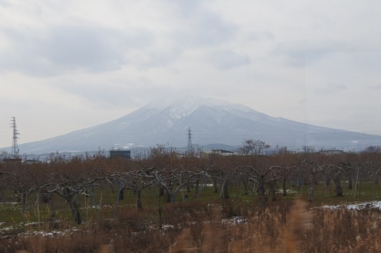 DSC_3546.JPG