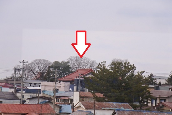 DSC_3615.JPG