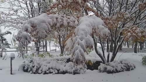 DSC_0012.JPG