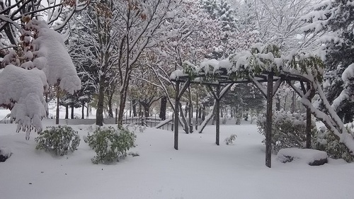 DSC_0013.JPG