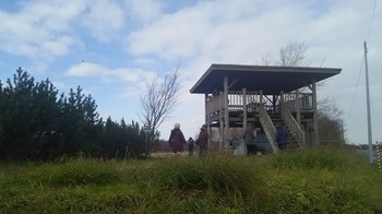 DSC_1013.JPG