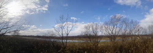 DSC_1021.jpg