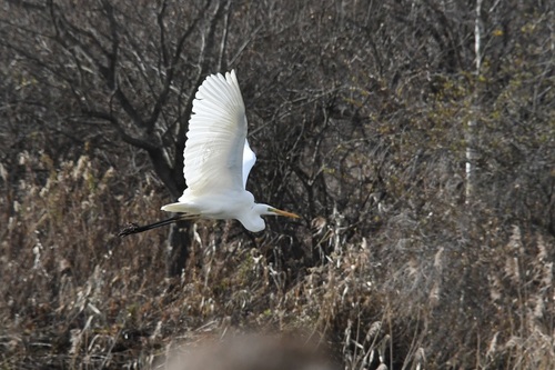 DSC_1022-2.JPG