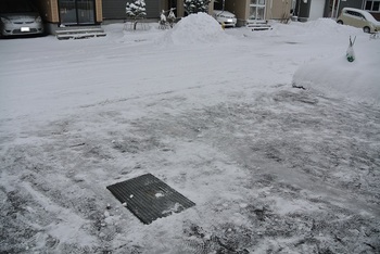 DSC_2565-2.JPG