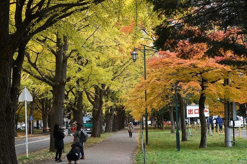 DSC_3966.JPG