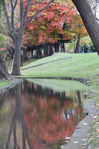 DSC_3983.JPG