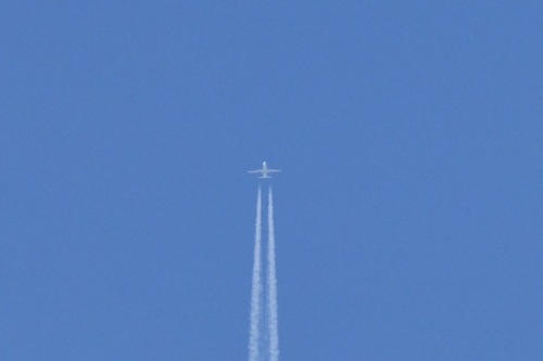 DSC_4133.JPG