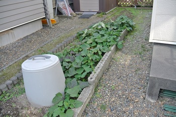 DSCN8757-2.JPG