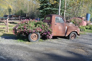 DSC_0128.JPG