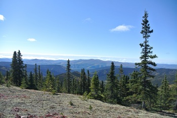 DSC_0394.JPG