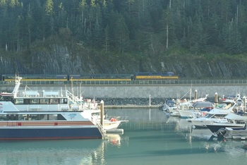 DSC_0560.JPG